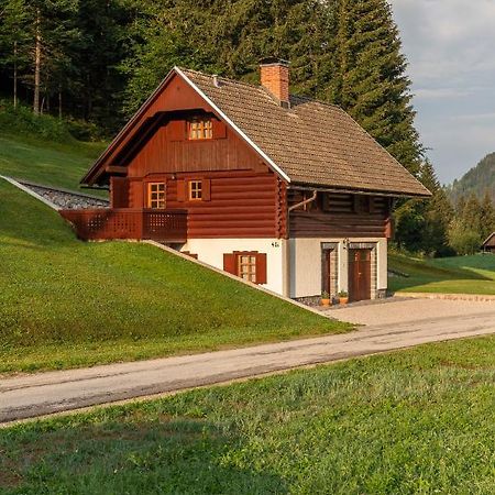 Chalet Ajda Bohinji-tó Kültér fotó